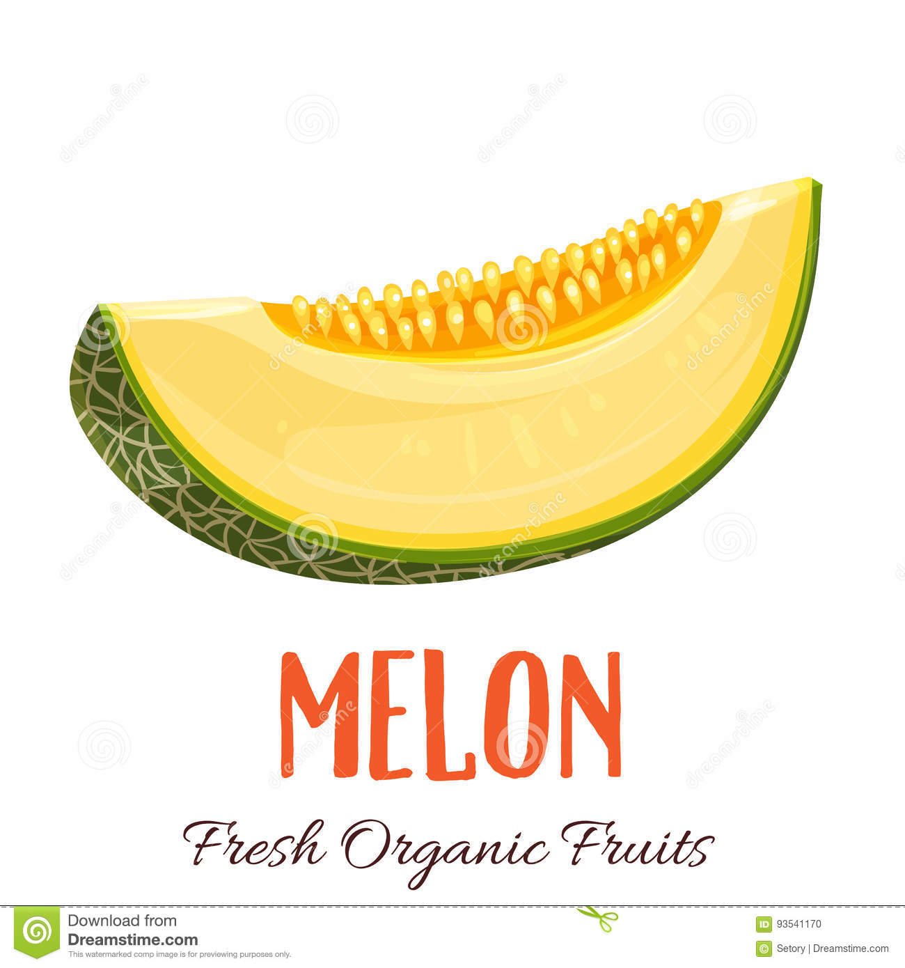 Detail Melon Vector Nomer 32