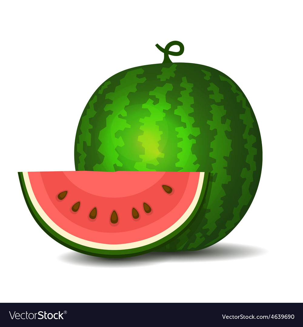 Detail Melon Vector Nomer 34