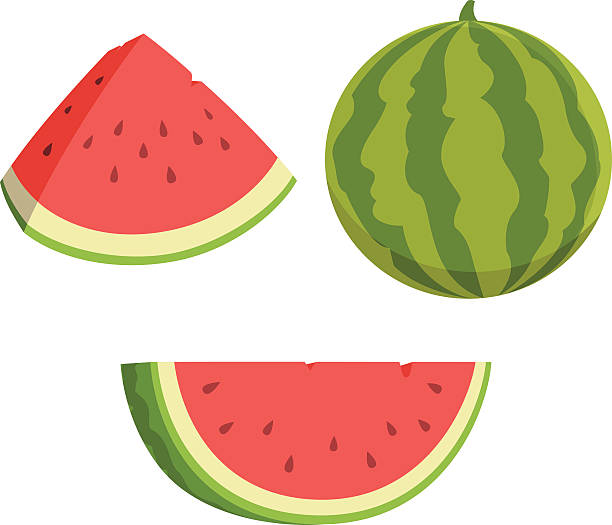 Detail Melon Vector Nomer 39