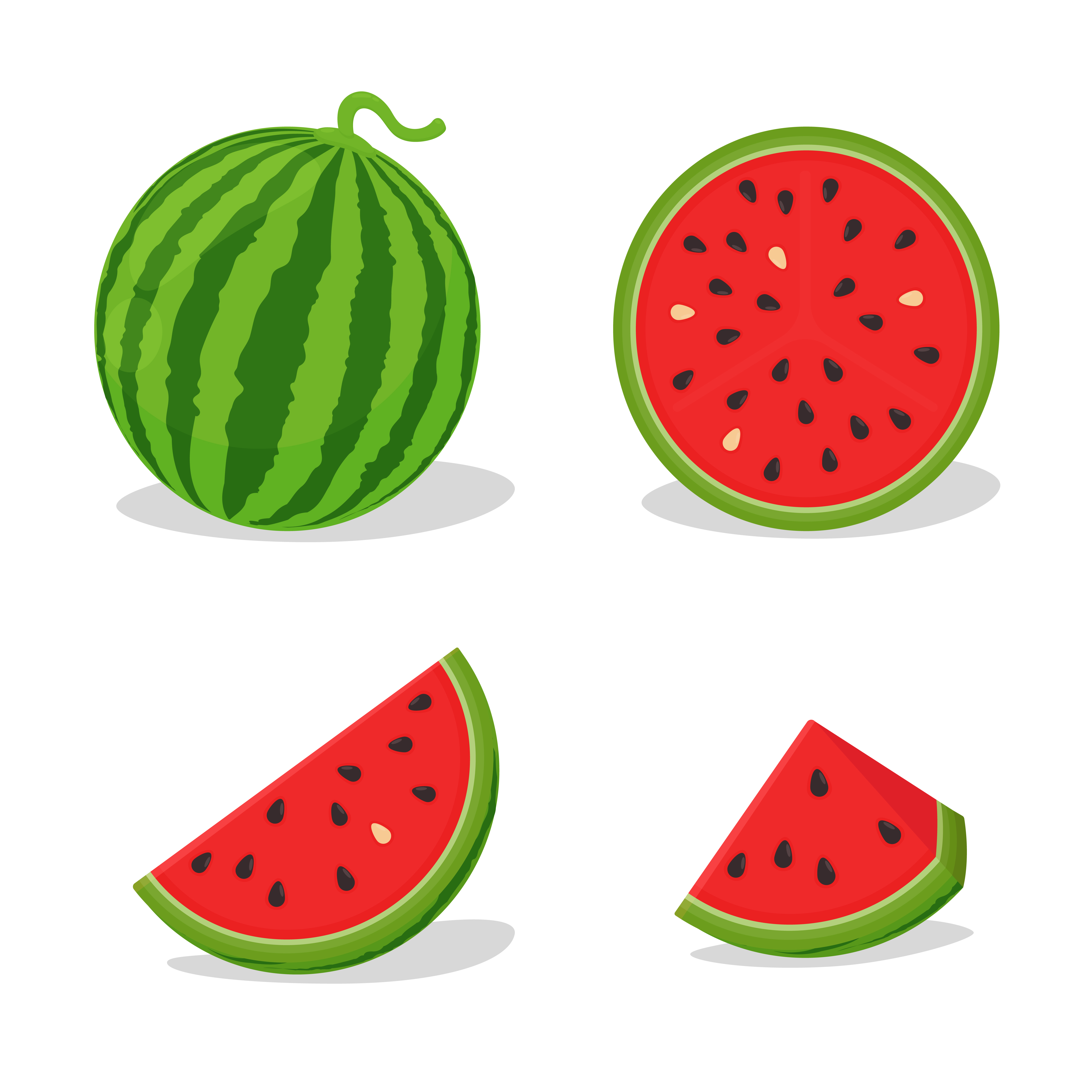 Detail Melon Vector Nomer 40
