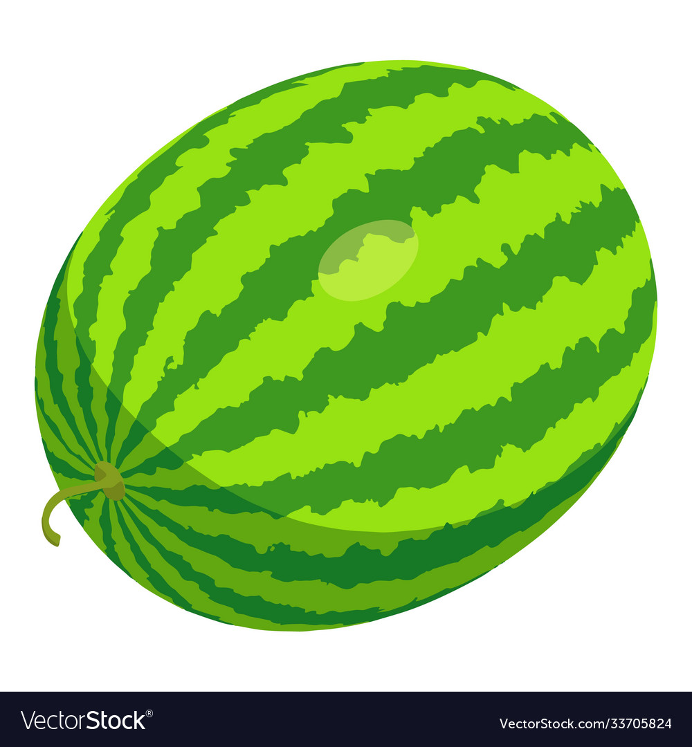 Detail Melon Vector Nomer 41