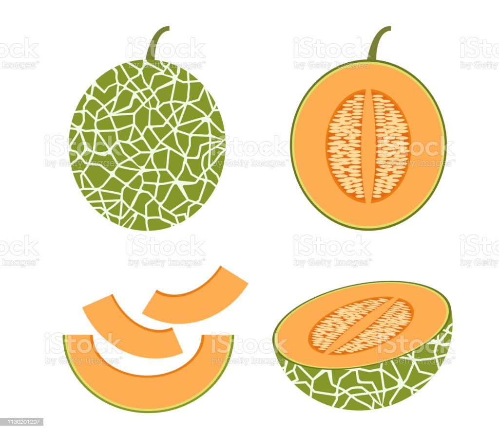 Detail Melon Vector Nomer 42