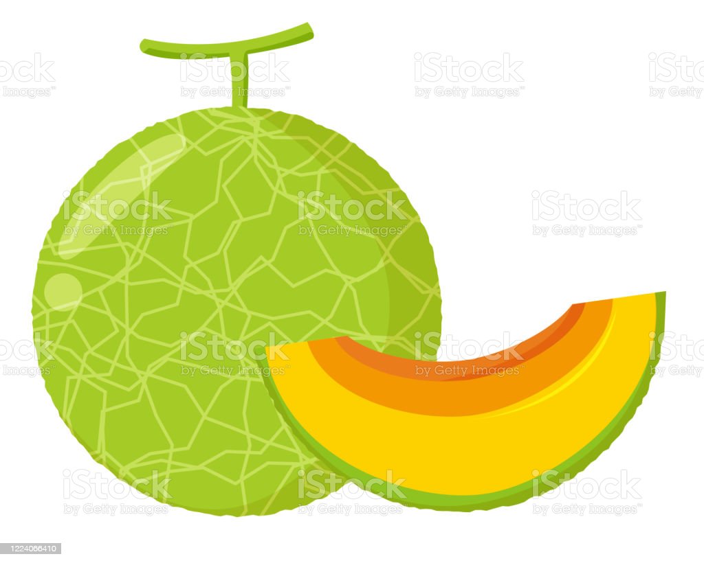 Detail Melon Vector Nomer 44