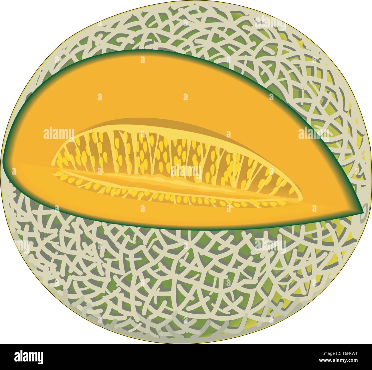 Detail Melon Vector Nomer 45