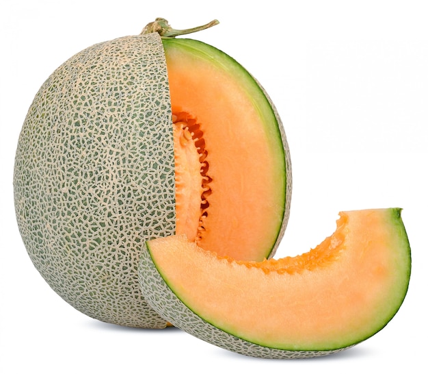 Detail Melon Vector Nomer 46