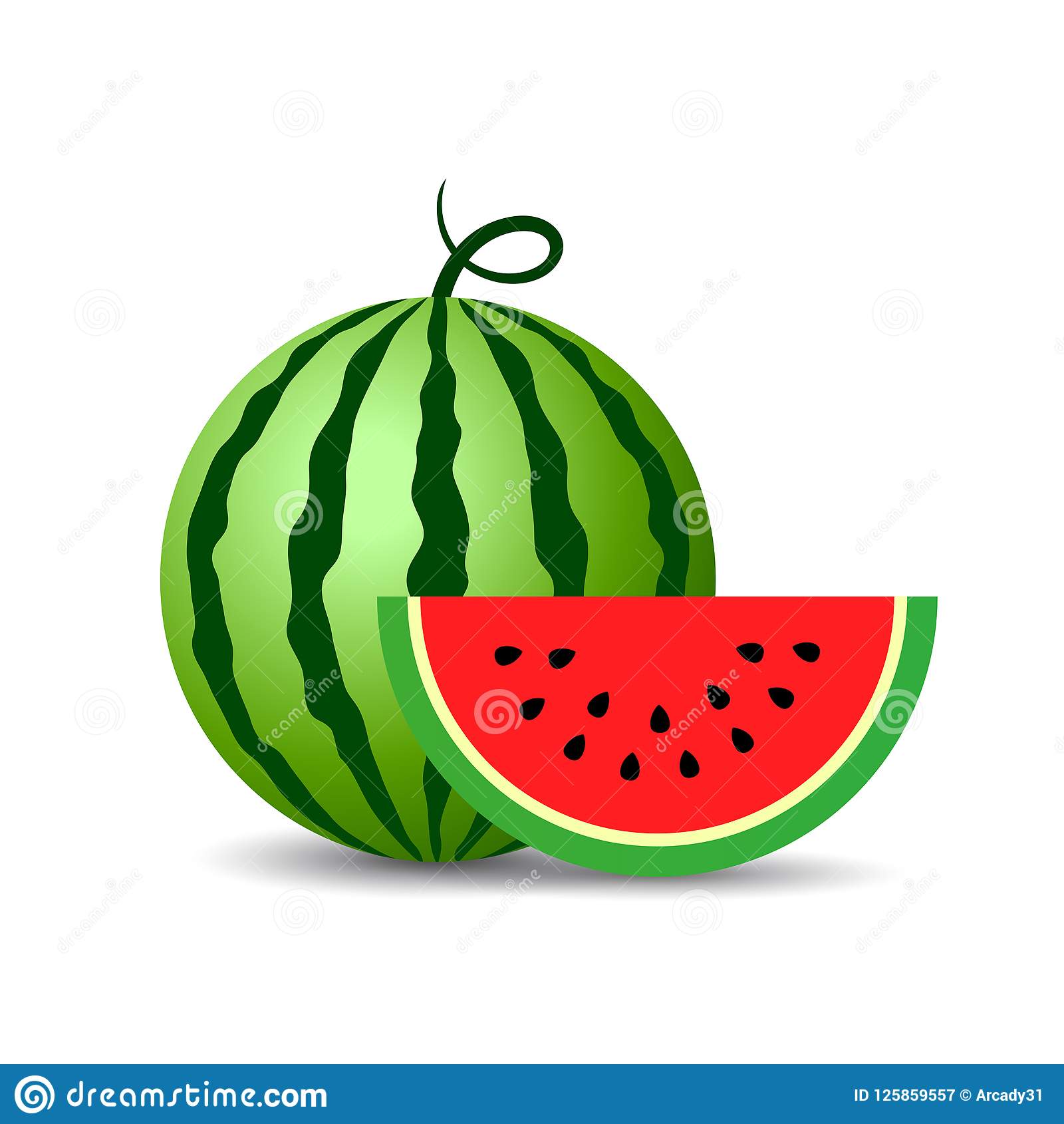 Detail Melon Vector Nomer 50