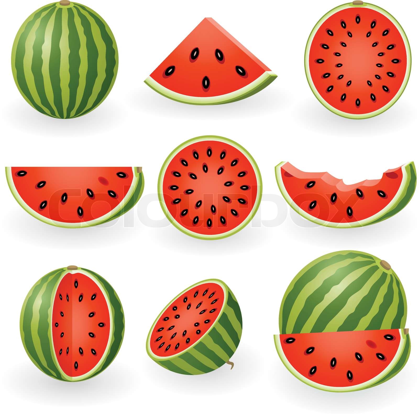 Detail Melon Vector Nomer 53