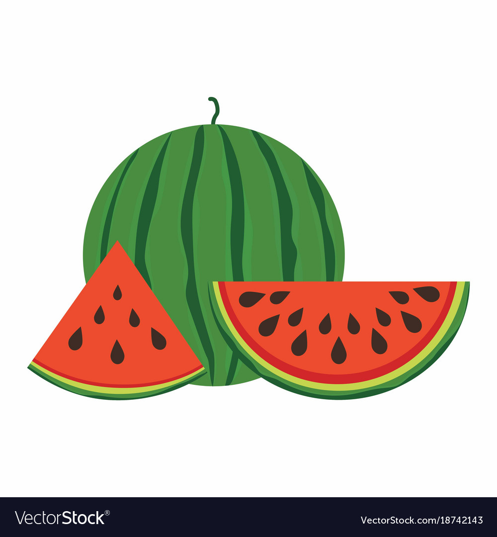 Detail Melon Vector Nomer 55