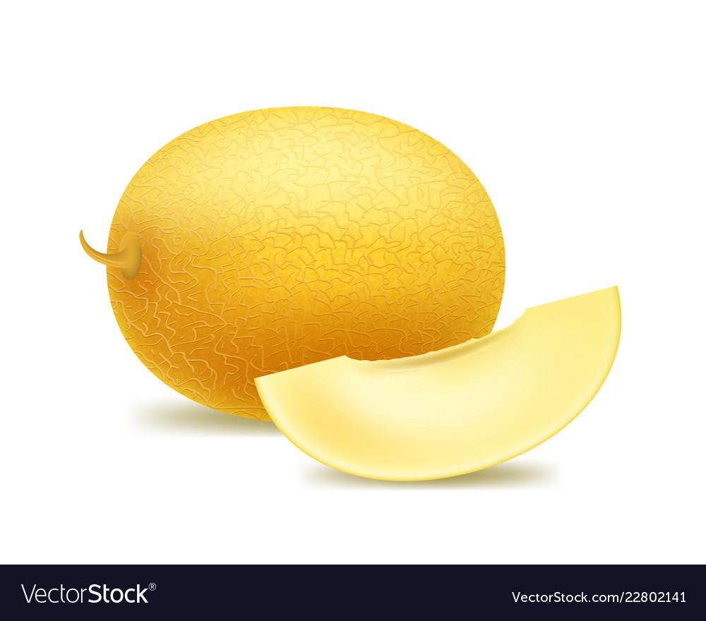 Detail Melon Vector Nomer 56