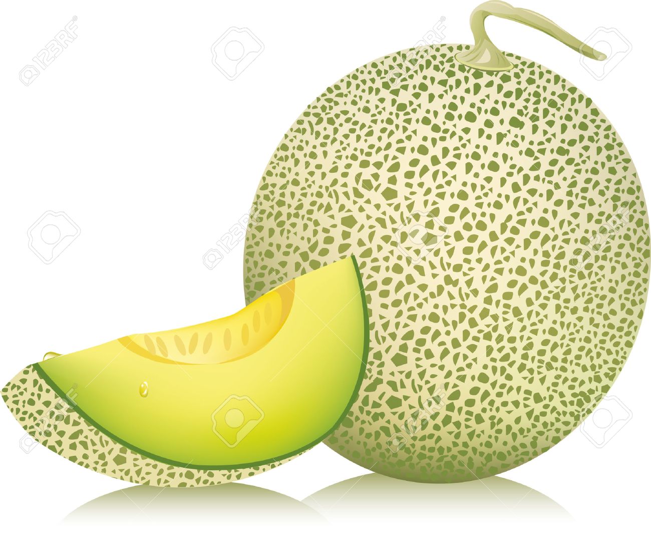Detail Melon Vector Nomer 7