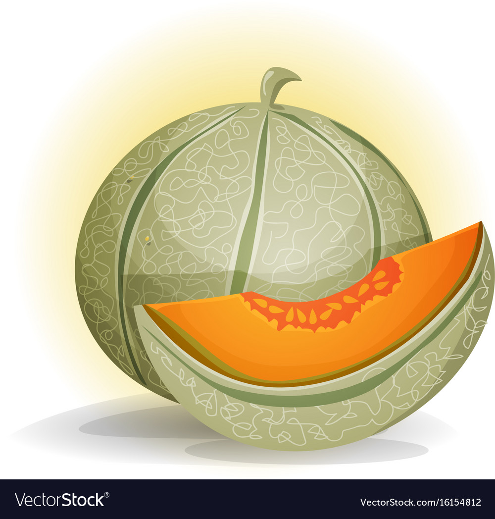 Detail Melon Vector Nomer 10
