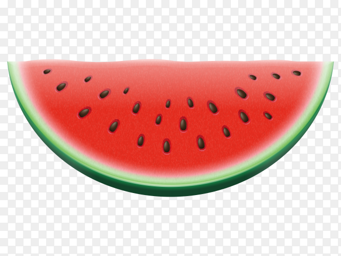 Detail Melon Vector Png Nomer 12