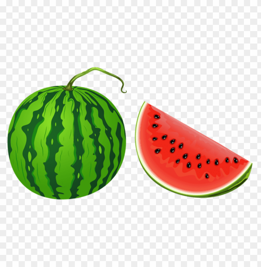 Detail Melon Vector Png Nomer 14