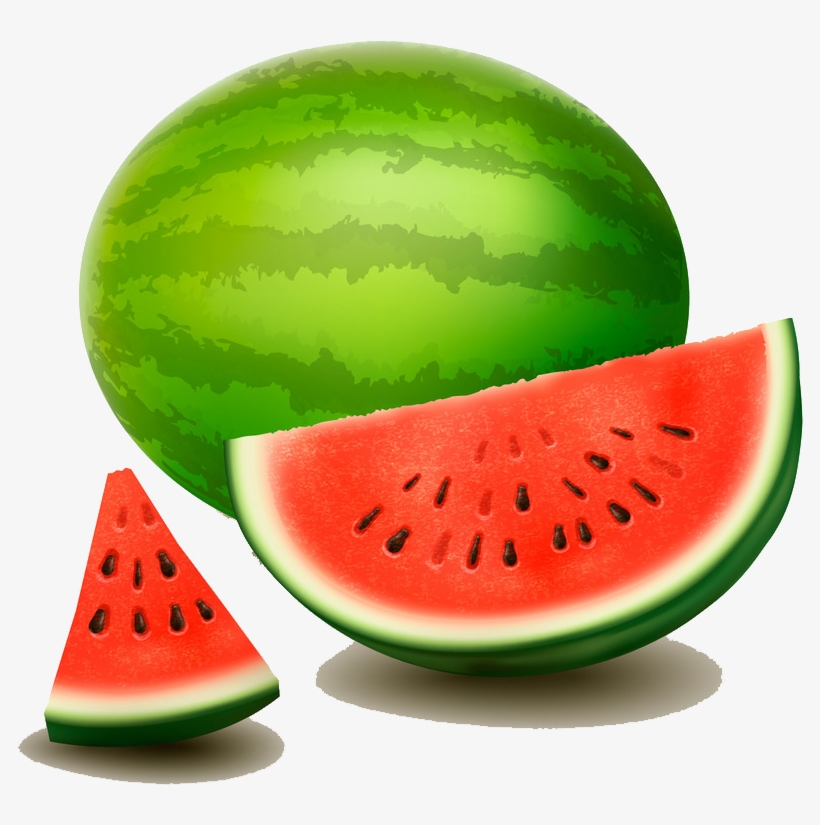 Detail Melon Vector Png Nomer 15