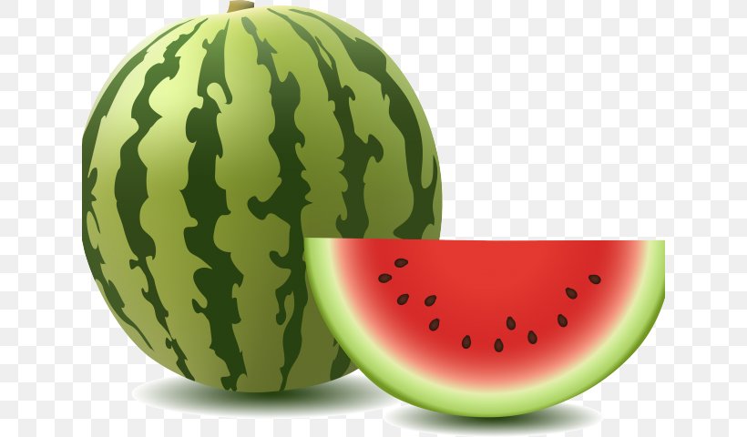 Detail Melon Vector Png Nomer 19