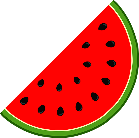 Detail Melon Vector Png Nomer 21