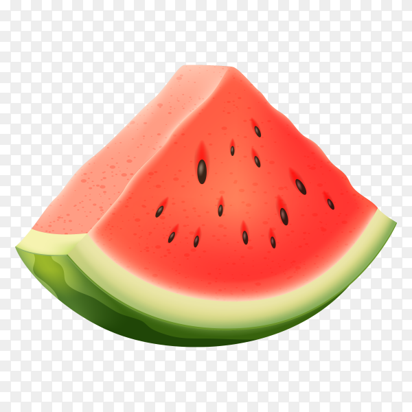Detail Melon Vector Png Nomer 27