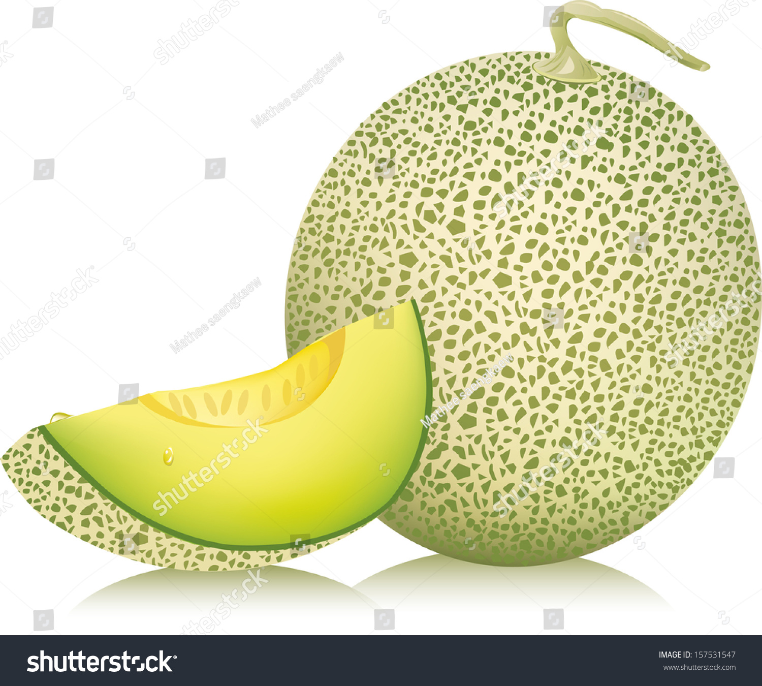 Detail Melon Vector Png Nomer 29