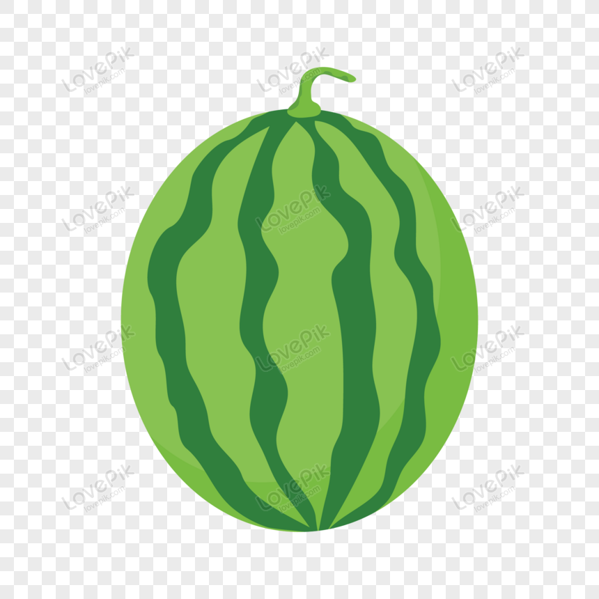 Detail Melon Vector Png Nomer 33