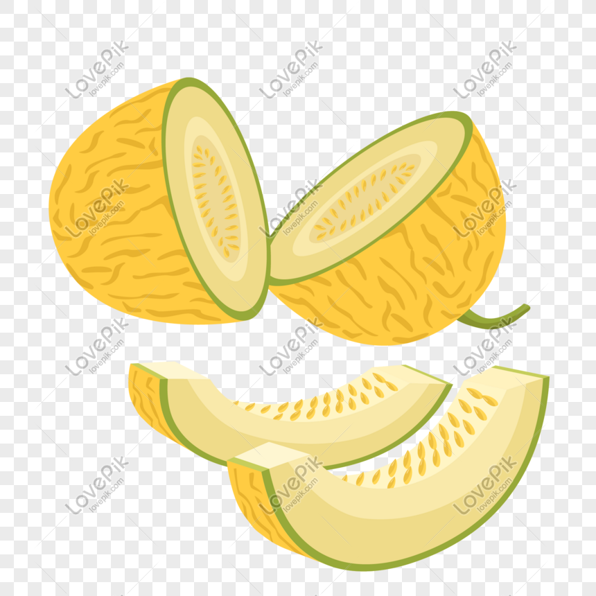 Detail Melon Vector Png Nomer 36