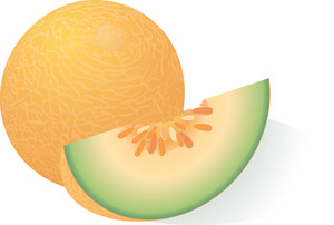 Detail Melon Vector Png Nomer 5