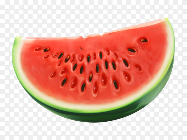 Detail Melon Vector Png Nomer 37