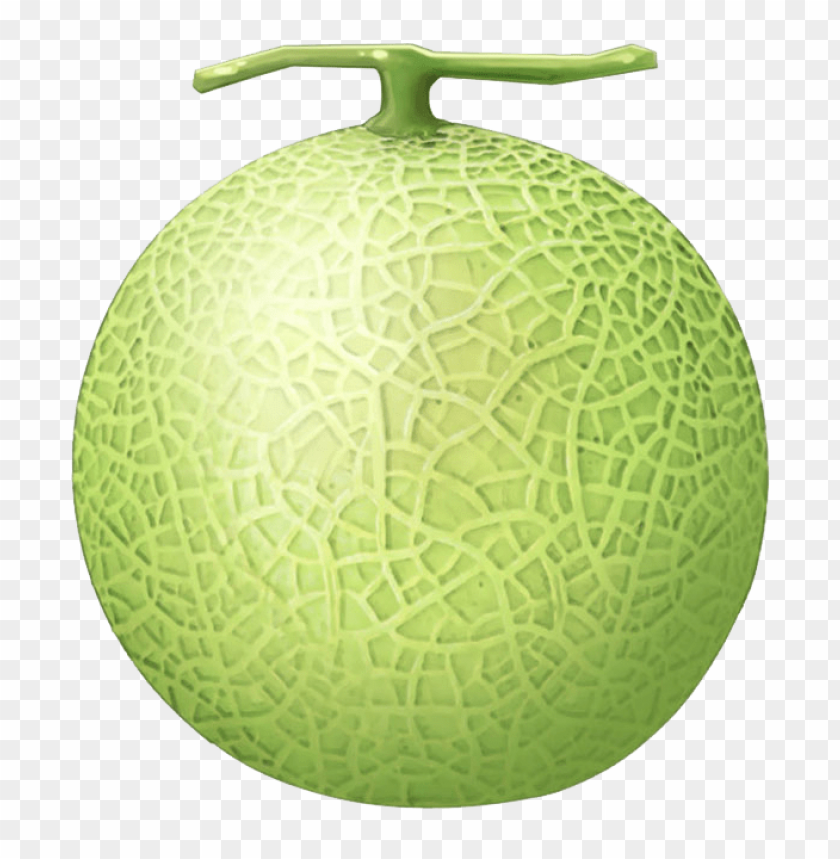 Detail Melon Vector Png Nomer 6