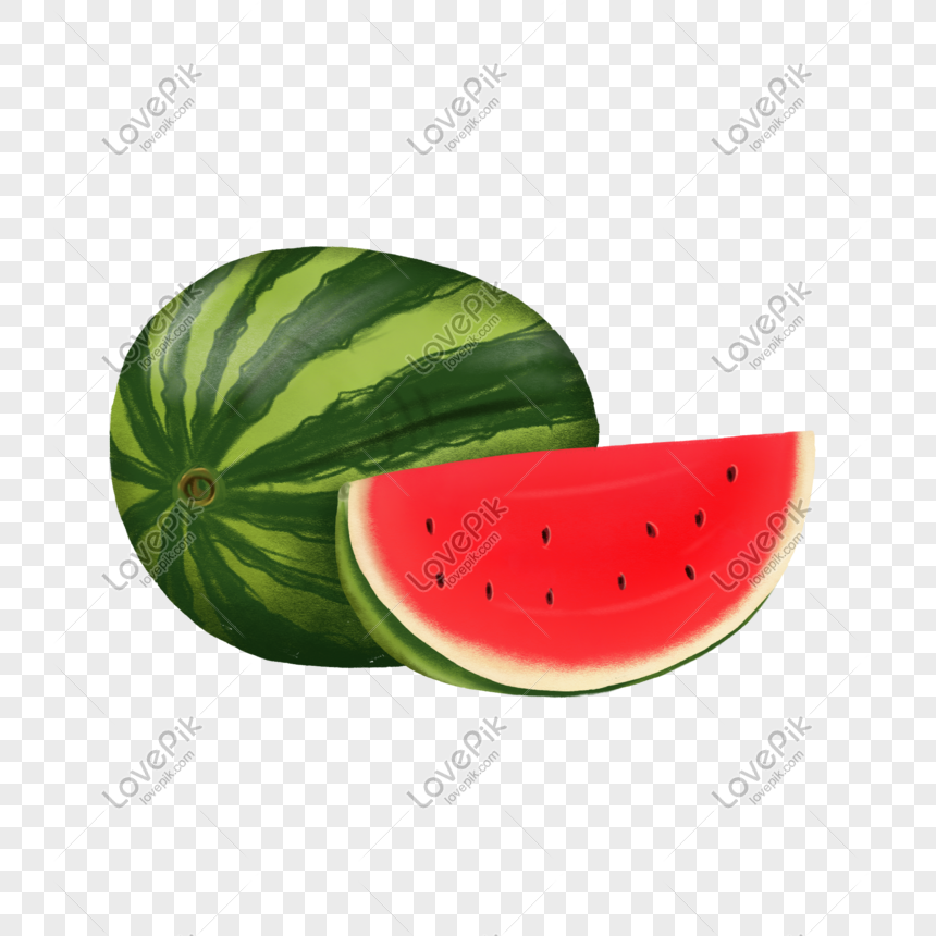 Detail Melon Vector Png Nomer 47