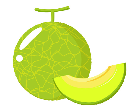 Detail Melon Vector Png Nomer 49