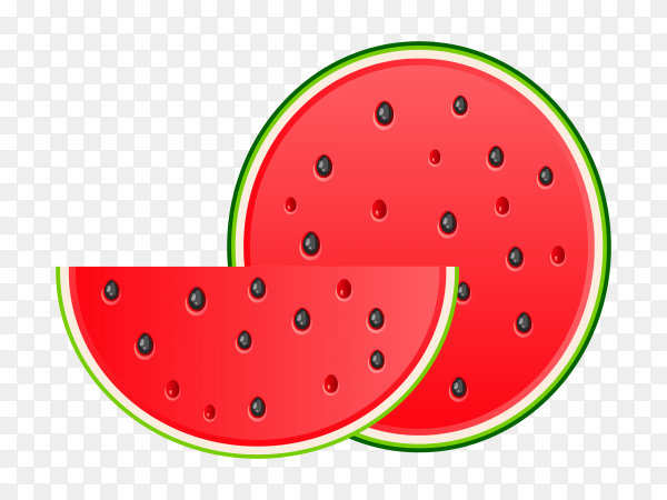 Detail Melon Vector Png Nomer 52
