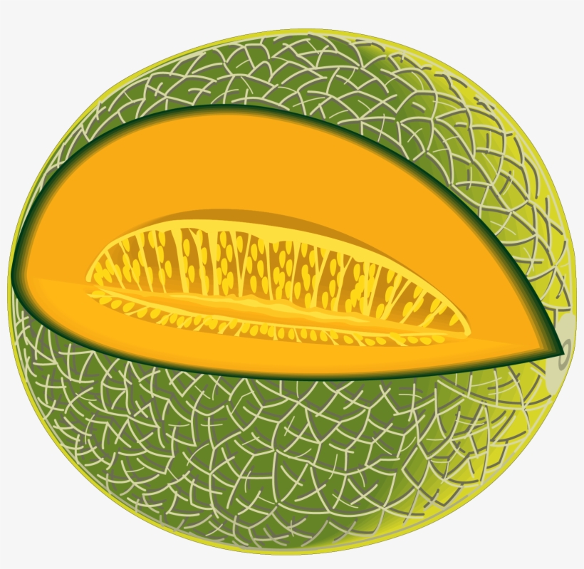 Detail Melon Vector Png Nomer 10