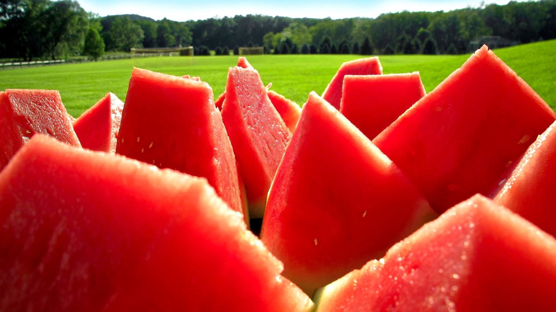 Detail Melon Wallpaper Nomer 46