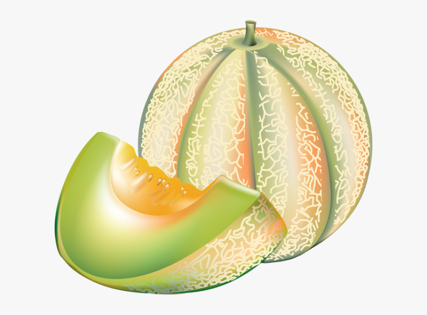 Melons Clipart - KibrisPDR