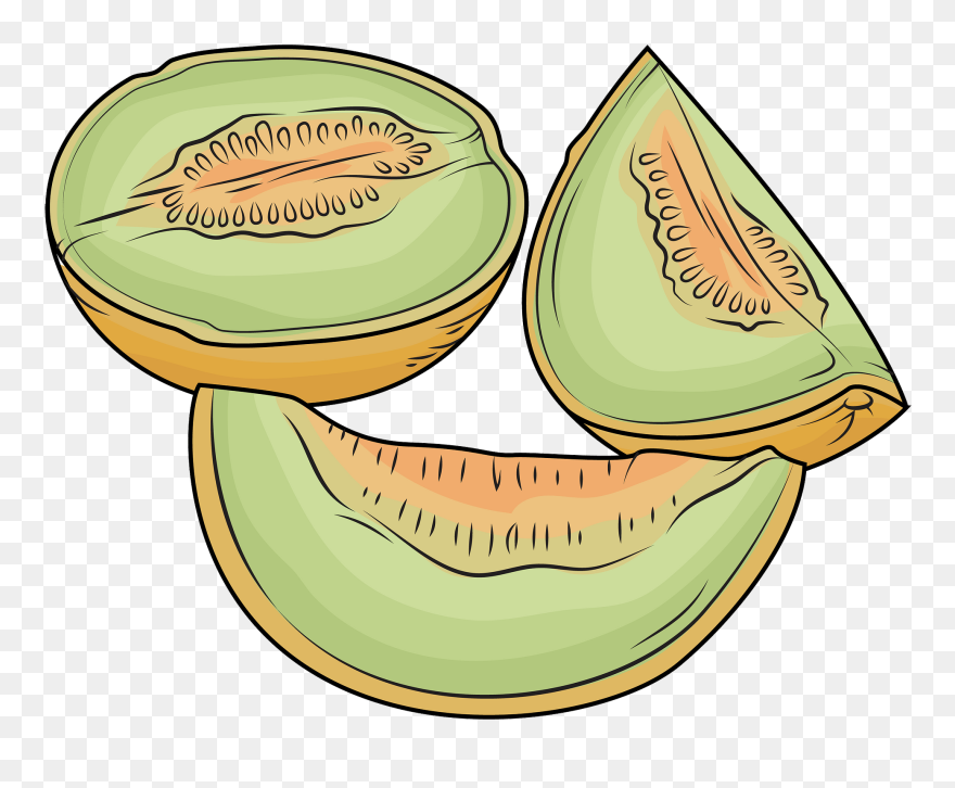 Detail Melons Clipart Nomer 32