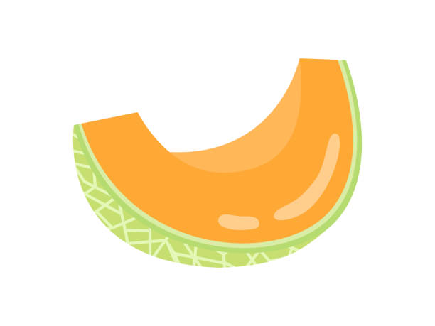 Detail Melons Clipart Nomer 35