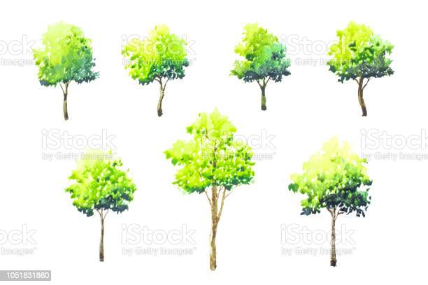 Detail Melukis Pohon Dengan Cat Air Nomer 26