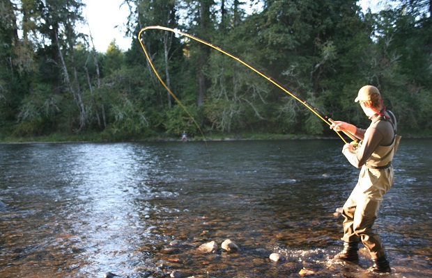 Detail Memancing Ikan Sungai Nomer 3