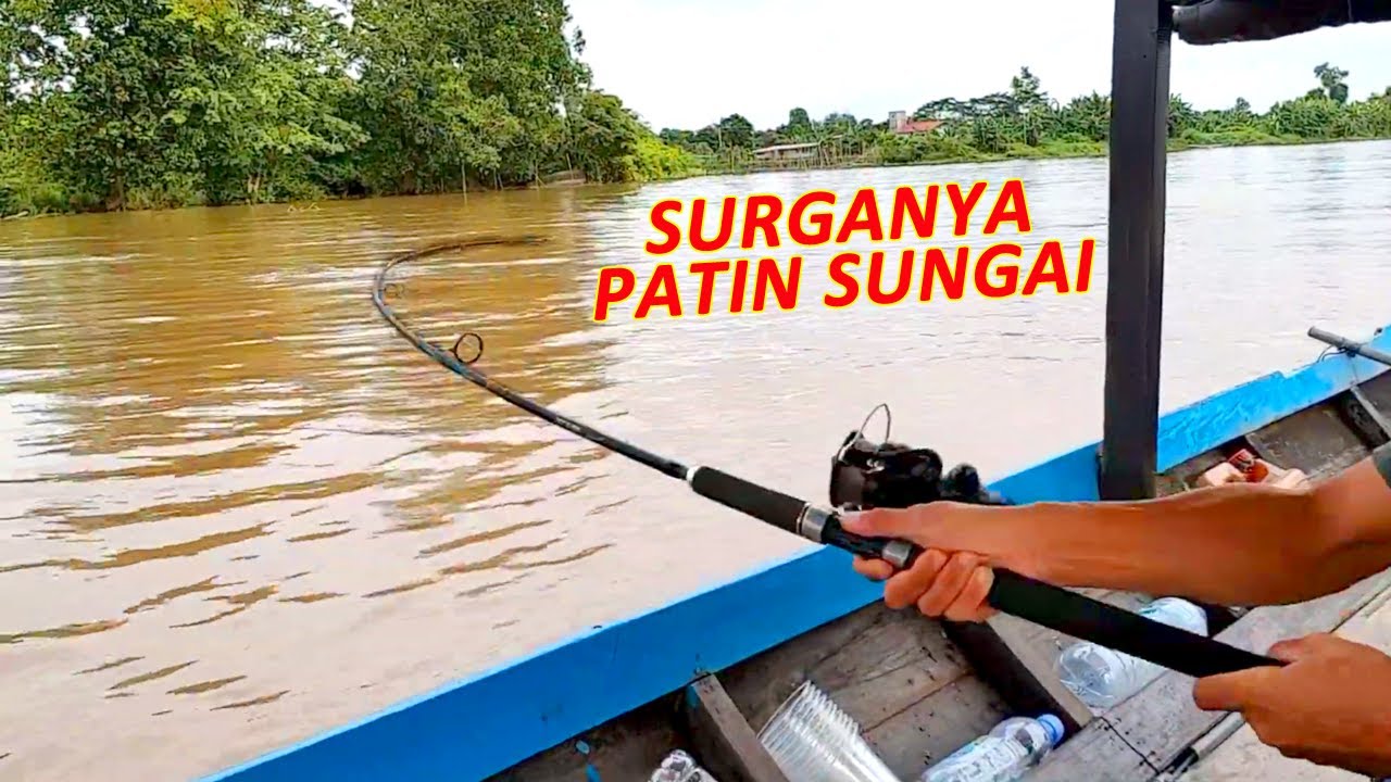 Detail Memancing Ikan Sungai Nomer 27