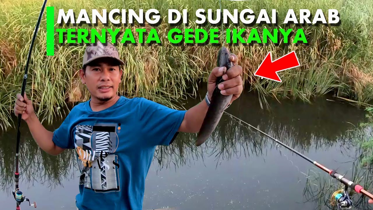 Detail Memancing Ikan Sungai Nomer 31