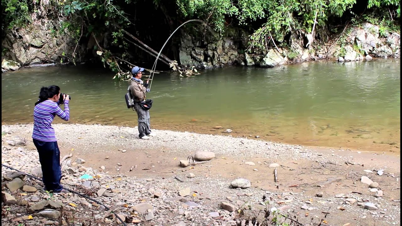 Detail Memancing Ikan Sungai Nomer 38