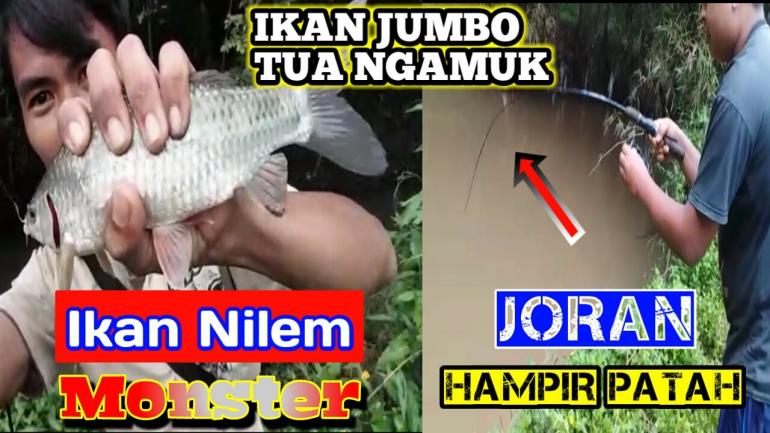 Detail Memancing Ikan Sungai Nomer 41