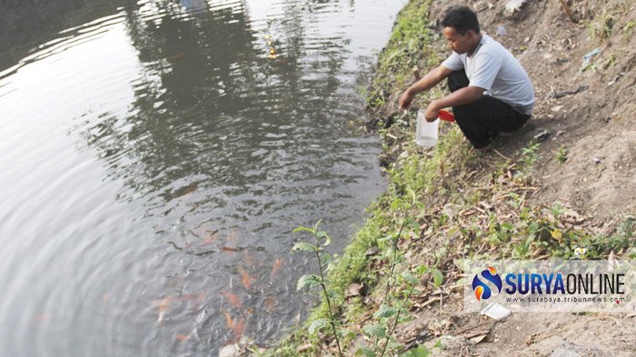 Detail Memancing Ikan Sungai Nomer 42