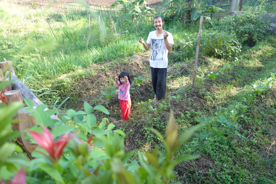 Detail Memanfaatkan Kebun Belakang Rumah Nomer 8