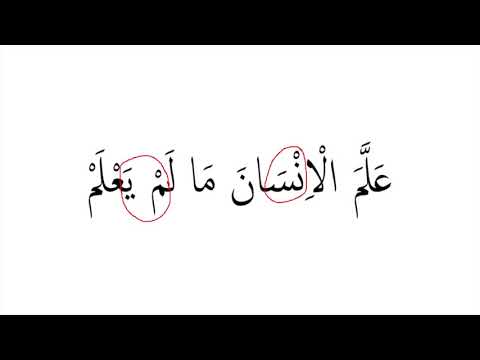 Detail Membaca Surat Al Alaq Nomer 25