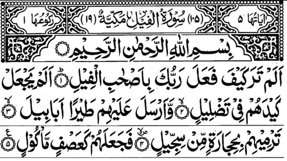 Detail Membaca Surat Al Fiil Nomer 6