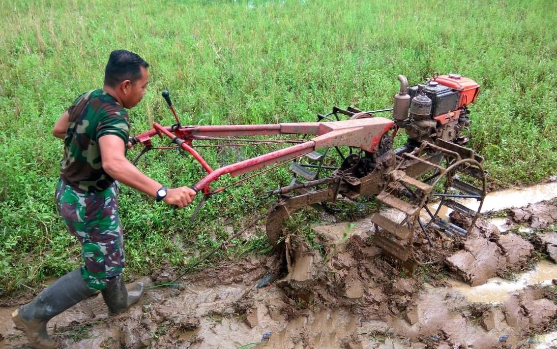 Detail Membajak Sawah Dengan Traktor Nomer 11