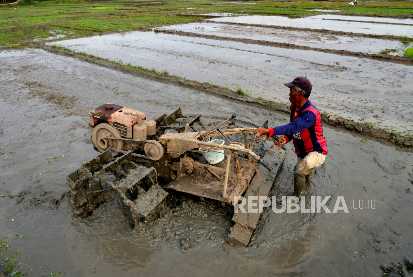 Detail Membajak Sawah Dengan Traktor Nomer 15