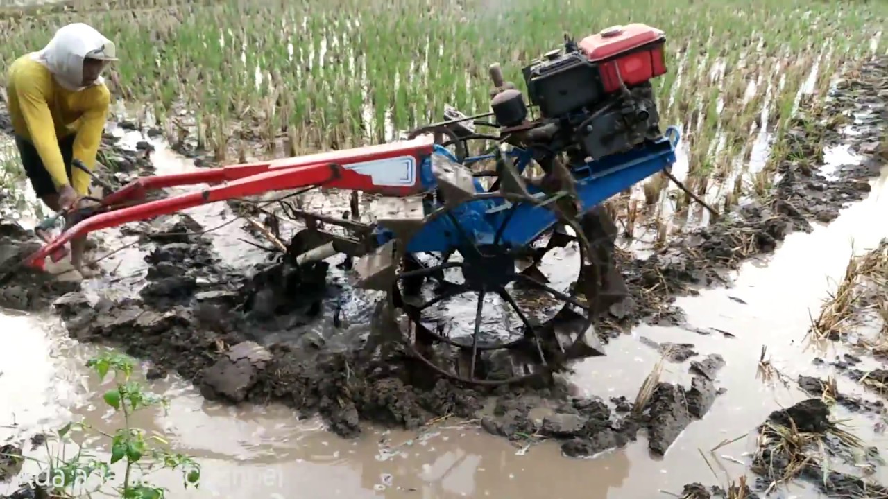 Detail Membajak Sawah Dengan Traktor Nomer 16