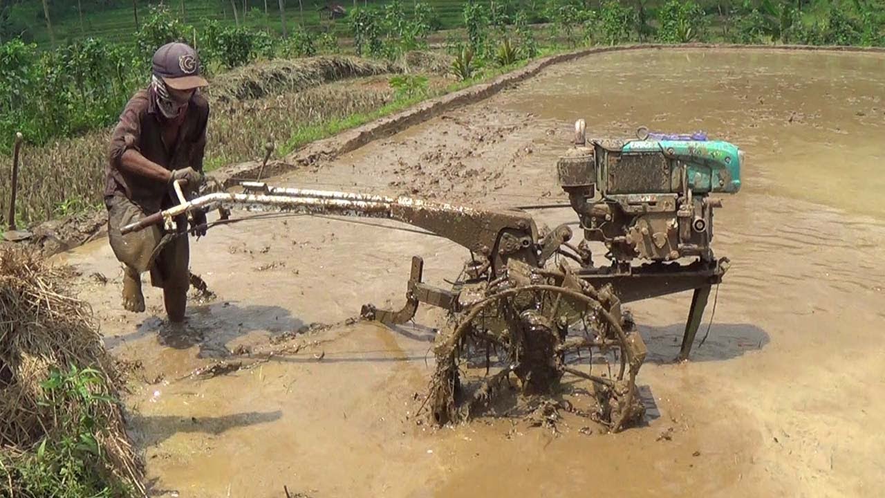 Detail Membajak Sawah Dengan Traktor Nomer 18