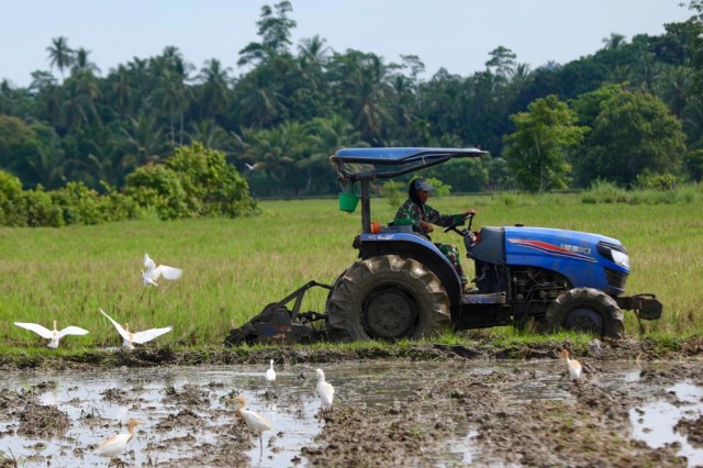 Detail Membajak Sawah Dengan Traktor Nomer 20